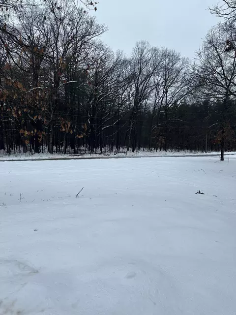 2541 138th Ave, Dorr, MI 49323 photo 5