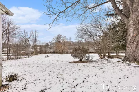 425 Birch St, Belding, MI 48809 photo 26
