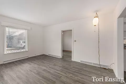 425 Birch St, Belding, MI 48809 photo 13