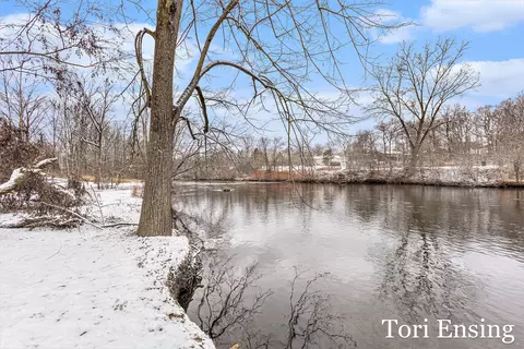 425 Birch St, Belding, MI 48809 photo 4