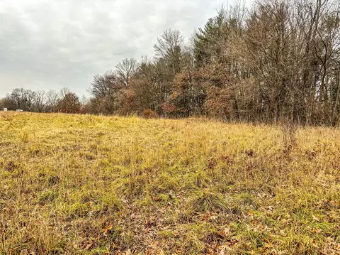Vl Coon Hill Road, Munith, MI 49259 photo 4