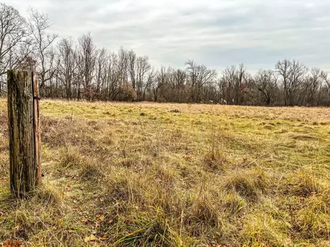Vl Coon Hill Road, Munith, MI 49259 photo 3