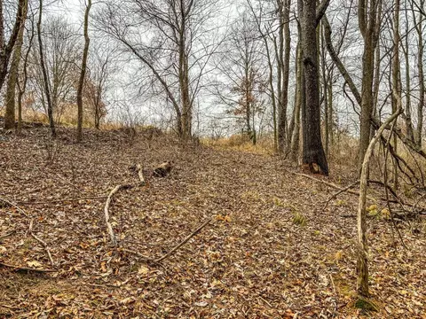 Vl Coon Hill Road, Munith, MI 49259 photo 15