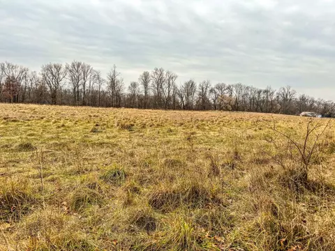 Vl Coon Hill Road, Munith, MI 49259 photo 13