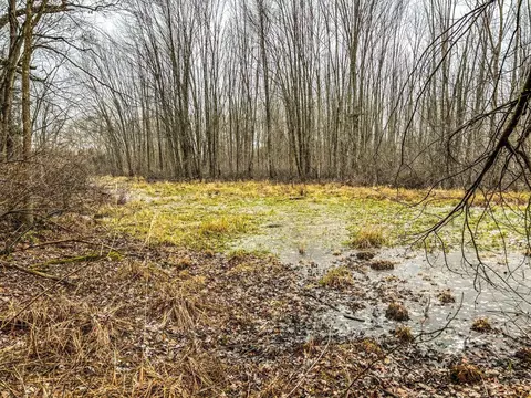 Vl Coon Hill Road, Munith, MI 49259 photo 5