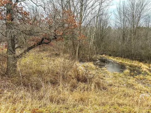 Vl Coon Hill Road, Munith, MI 49259