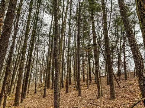 Vl Coon Hill Road, Munith, MI 49259 photo 7
