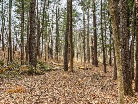 Vl Coon Hill Road, Munith, MI 49259 photo 6
