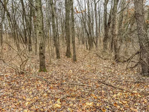 Vl Coon Hill Road, Munith, MI 49259 photo 10