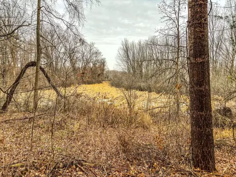 Vl Coon Hill Road, Munith, MI 49259 photo 14