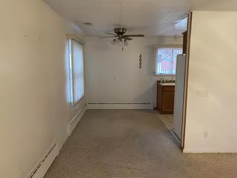 216 E Gilson St, Edmore, MI 48829 photo 7