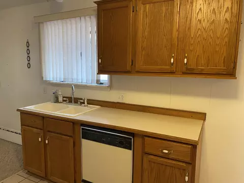 216 E Gilson St, Edmore, MI 48829 photo 11