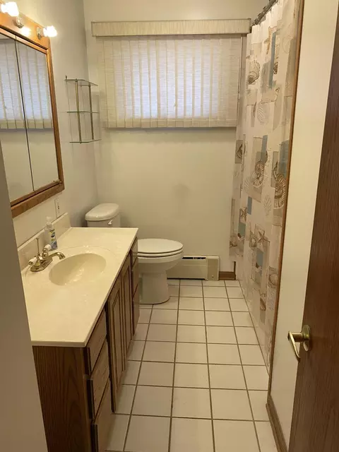 216 E Gilson St, Edmore, MI 48829 photo 18