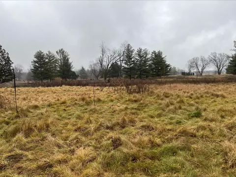 Dog Leg Drive, Bronson, MI 49028
