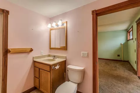 4177 Lacey Rd, Bellevue, MI 49021 photo 26