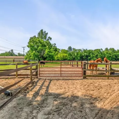 20144 Karr Rd, Belleville, MI 48111 photo 47
