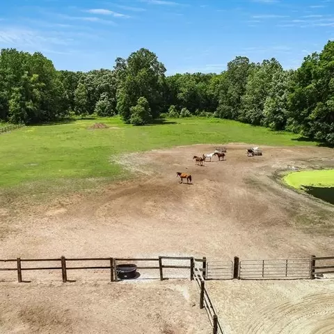20144 Karr Rd, Belleville, MI 48111 photo 76