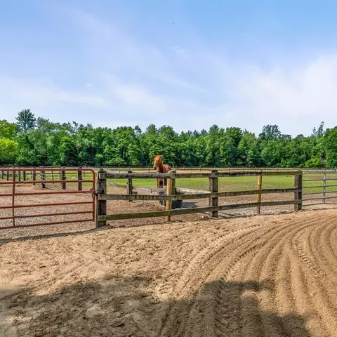 20144 Karr Rd, Belleville, MI 48111 photo 46
