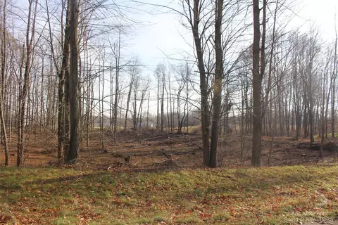 0 Lindsey Unit 14 Rd, Jackson, MI 49201