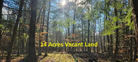 V/l Loop Road, Hesperia, MI 49421