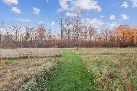 5091 Glen Eagle Ct, Tecumseh, MI 49286 photo 44