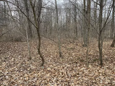 Lot 182 East Shore Drive, Stanton, MI 48888