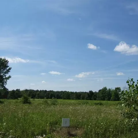 1 Tubspring Roadashley Ln, Allenton, MI 48002