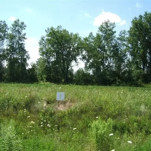 7 Ashley Ln, Allenton, MI 48002