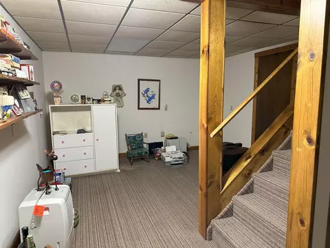 17220 Limberlost Rd, Three Rivers, MI 49093 photo 17