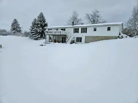 319 2nd St, Blanchard, MI 49310 photo 2
