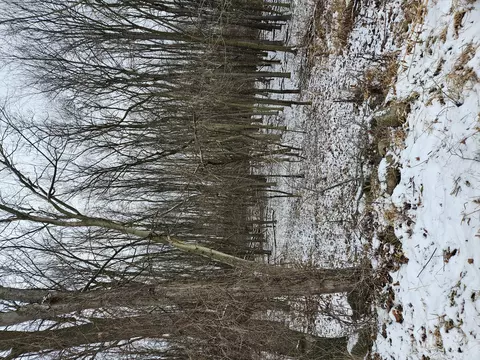 Albion Road S, Albion, MI 49224