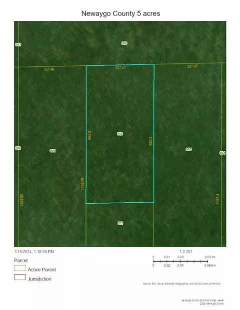 Vl N Elm, White Cloud, MI 49349 photo 2
