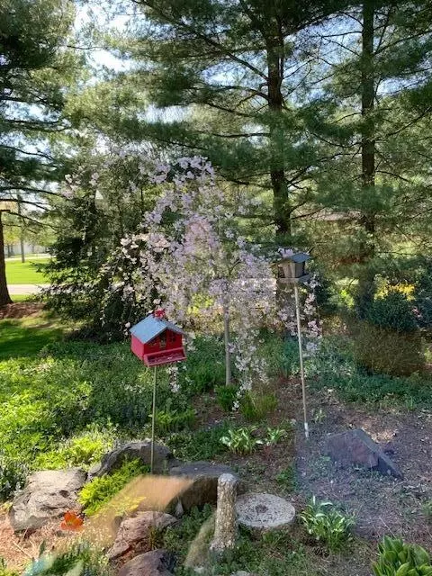 3552 Weber Rd, Saline, MI 48176 photo 40