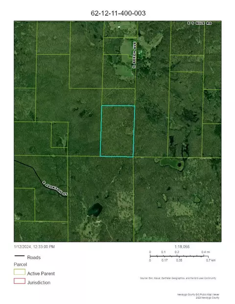 Vl N Beech Avenue, White Cloud, MI 49349