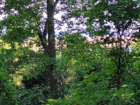 lot D Silver Vista Ln, Mears, MI 49436