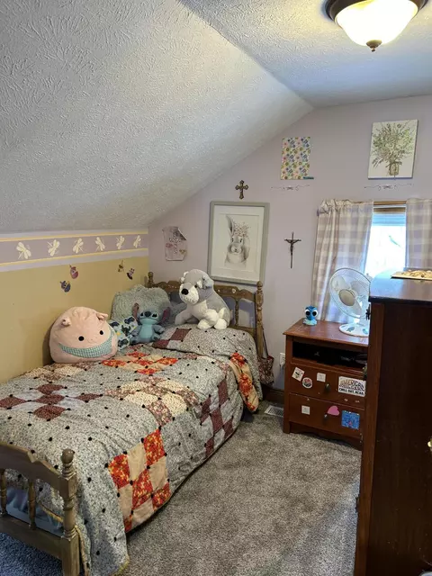 11399 Belding Rd NE, Belding, MI 48809 photo 27
