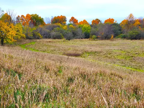 Vl S Head Road, Delton, MI 49046