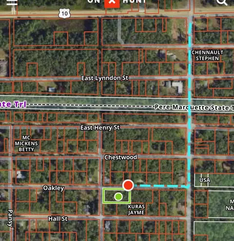 E Oakley Boulevard, Idlewild, MI 49642