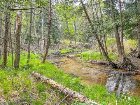 V/l W 30 Road, Harrietta, MI 49638