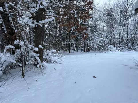 4081 E 3rd Ave, Newaygo, MI 49337 photo 13