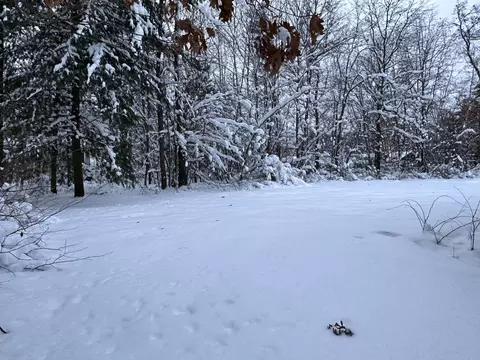 4081 E 3rd Ave, Newaygo, MI 49337 photo 14