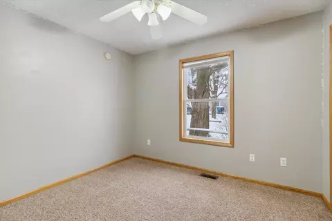 109 E Walnut St, Stanton, MI 48888 photo 19
