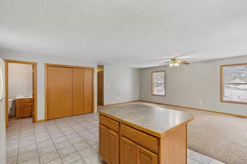 109 E Walnut St, Stanton, MI 48888 photo 12