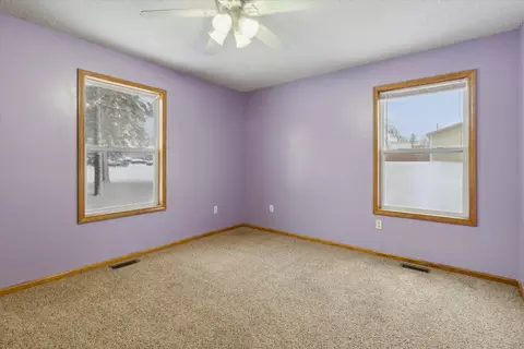 109 E Walnut St, Stanton, MI 48888 photo 23