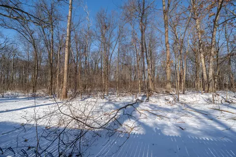16011 Dodge St, Romulus, MI 48174 photo 26