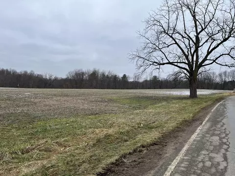 Madron Lake Road, Buchanan, MI 49107