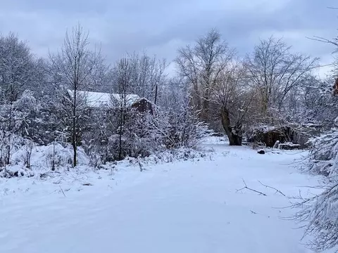 11868 Bailey Rd, Ravenna, MI 49451