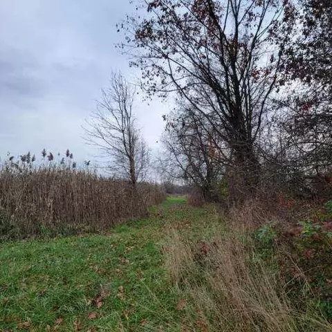 6944 Jordan Rd, Jackson, MI 49201 photo 43