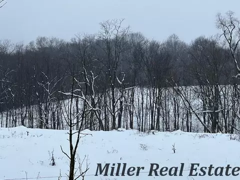 40 Acres Hammond Rd, Hastings, MI 49058