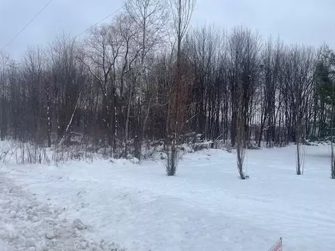 130 Th Ave, Fennville, MI 49408